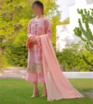 Zarqash Cotton Chicken Kari